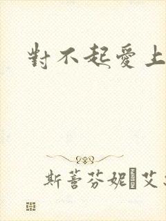 对不起爱上你