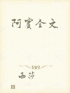 阿宾全文