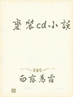 变装cd小说