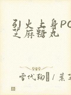 引火上身POP芝麻糖丸