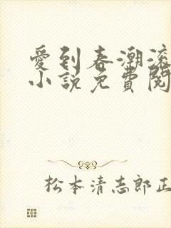 爱到春潮滚滚来小说免费阅读封面