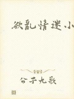 欲乱情迷小说