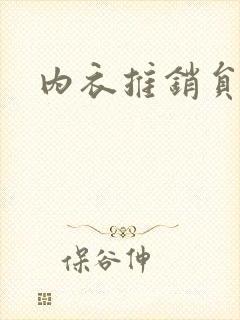 内衣推销员封面