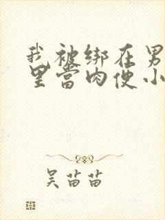 我被绑在男公厕里当肉便小说封面