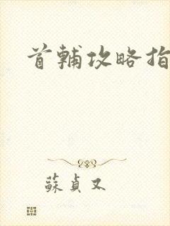 首辅攻略指南