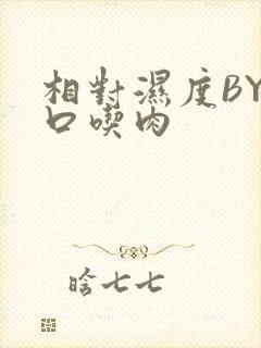 相对湿度BY大口吃肉封面