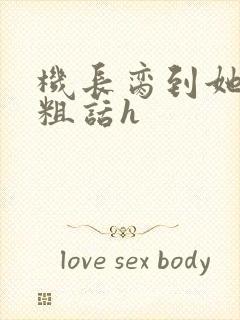 机长脔到她哭h粗话h封面