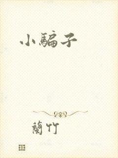 小骗子