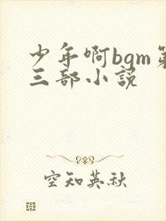 少年啊bgm第三部小说