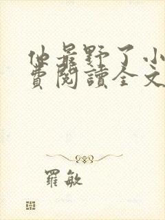 他最野了小说免费阅读全文