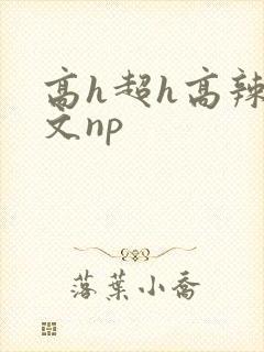 高h超h高辣h文np