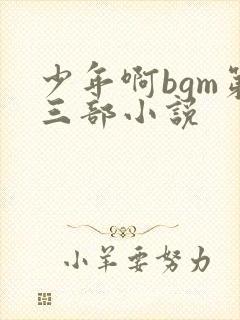 少年啊bgm第三部小说