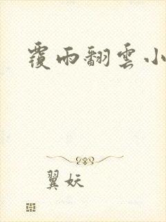 覆雨翻云小说