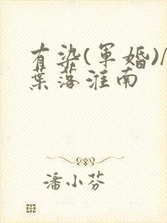 有染(军婚)/叶落淮南封面