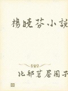 杨晓芬小说