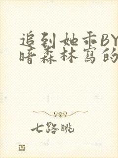追到她乖BY黑暗森林写的小说
