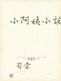 小阿姨小说