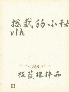 总裁的小秘书1v1h封面