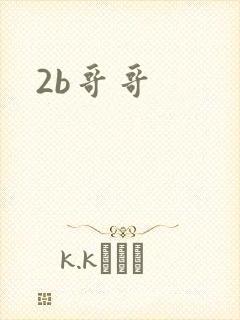 2b哥哥