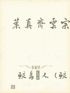 叶真齐云宗免费封面