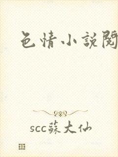 色情小说阅读