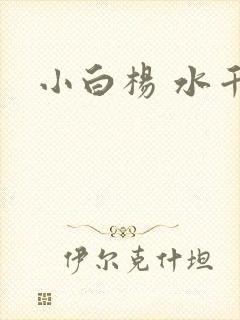 小白杨 水千丞封面
