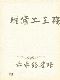 维修工王强张婷封面