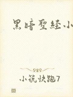 黑暗圣经小说