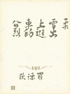 公车上雪柔被猛烈的进出