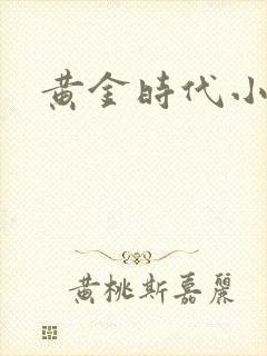 黄金时代小说