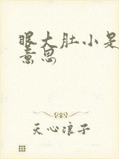 眼大肚小是什么意思