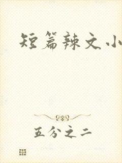 短篇辣文小说