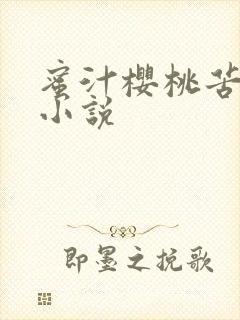 蜜汁樱桃苦咖啡小说
