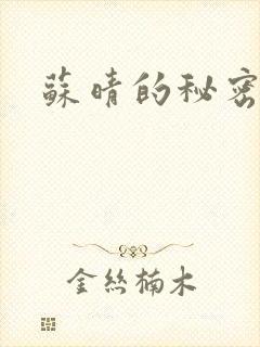 苏晴的秘密小说