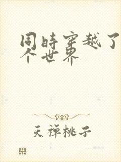 同时穿越了99个世界