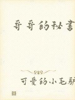 哥哥的秘书