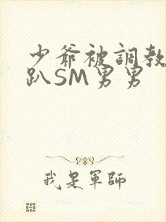 少爷被调教室跪趴SM男男封面