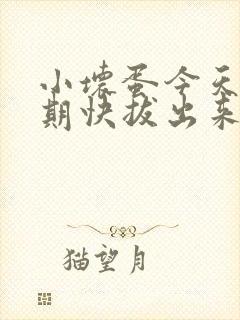 小坏蛋今天危险期快拔出来