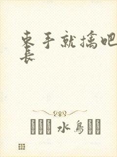 束手就擒吧韩队长