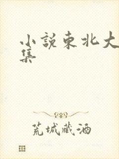 小说东北大炕全集