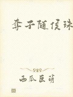 夺子随侯珠封面
