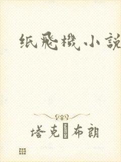 纸飞机小说