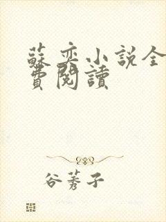 苏奕小说全文免费阅读