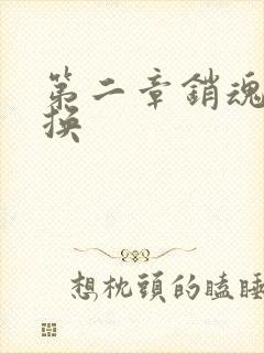 第二章销魂的交换