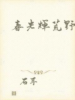 春光辉荒野封面