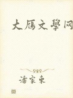 大雁文学网