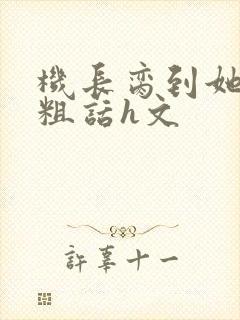 机长脔到她哭h粗话h文封面