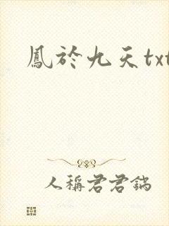 凤于九天txt
