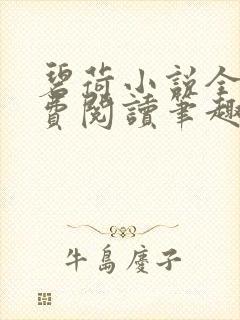 碧荷小说全文免费阅读笔趣阁