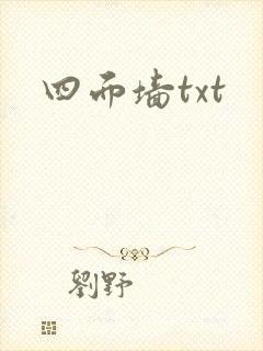 四面墙txt封面
